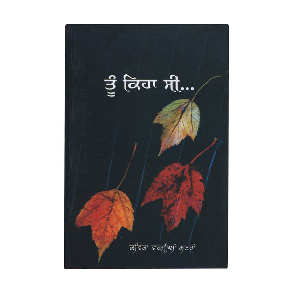 Tu Keha Si - Soohe Akhar - Beant Gill - Punjabi Book